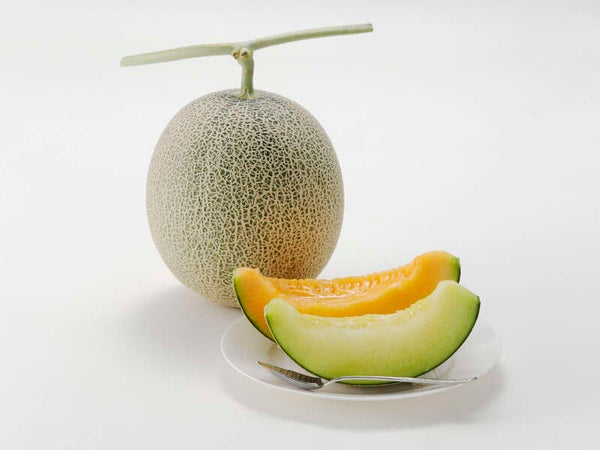 【山形県内発】 夏のあま~いひと時!庄内メロン食べ放題と 神秘的な空気に包まれる湯殿山神社(日帰り)1